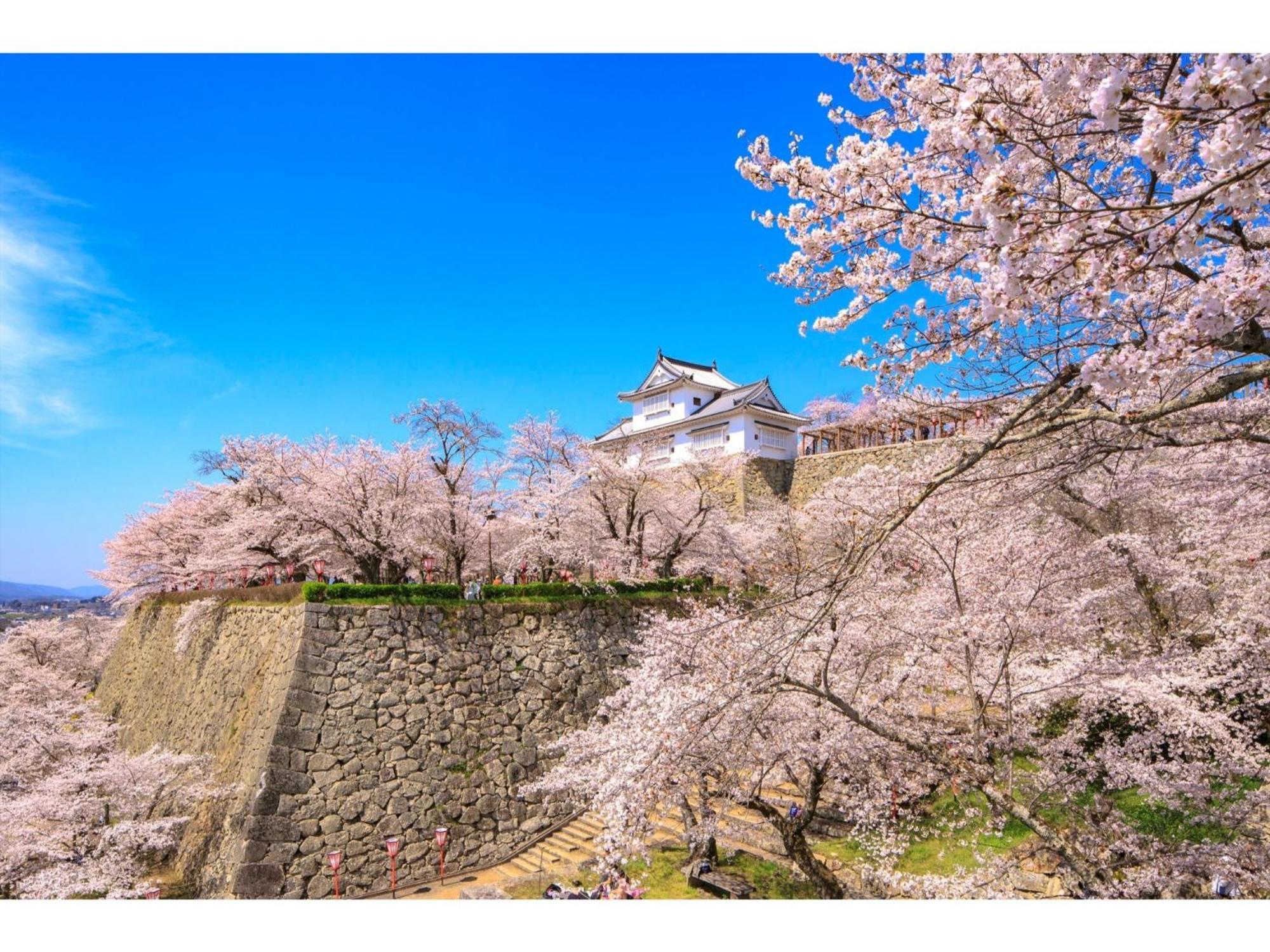 Tsuyama Kakuzan Hotel - Vacation Stay 75701V Exteriör bild